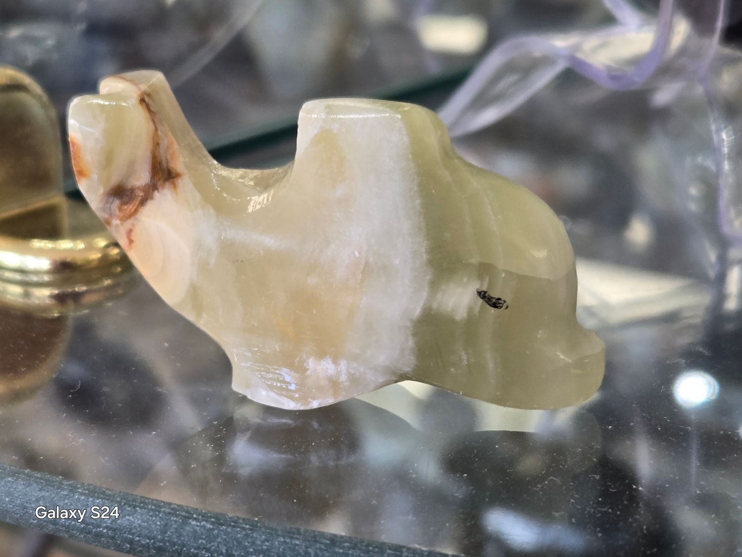 Onyx Dolphin