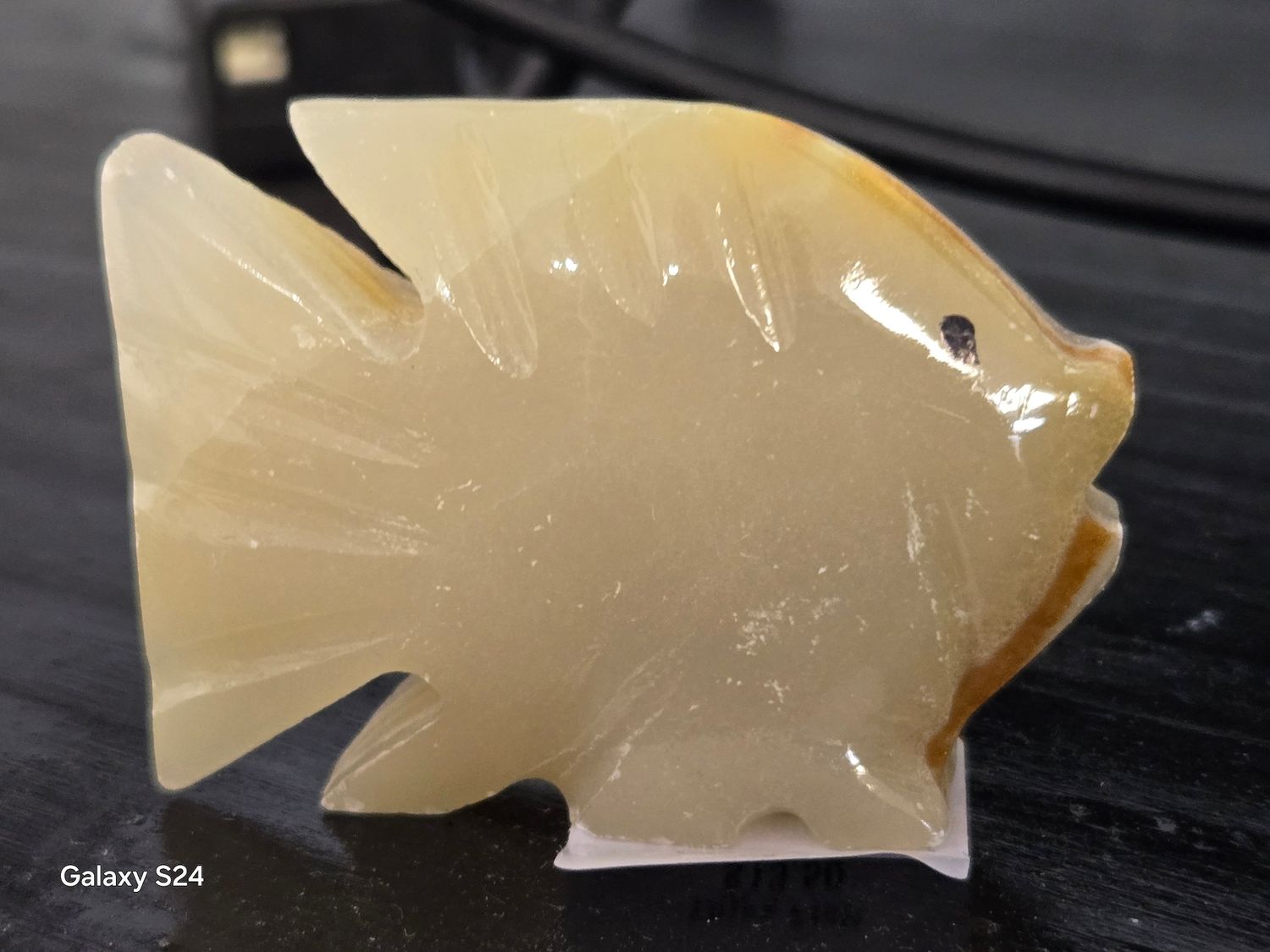 Onyx Fish 