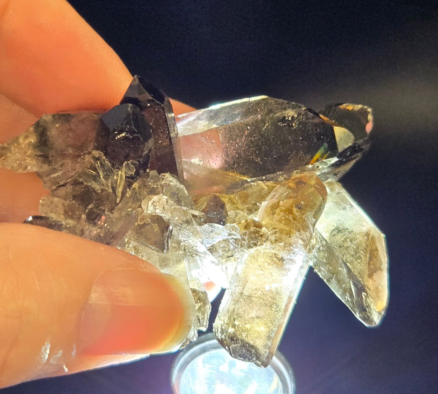 Smokey Quartz IX Cluster