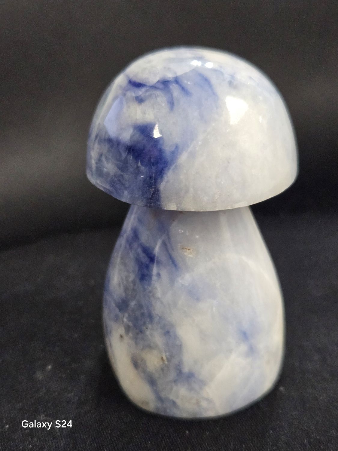 Afghanite Mushrooms I