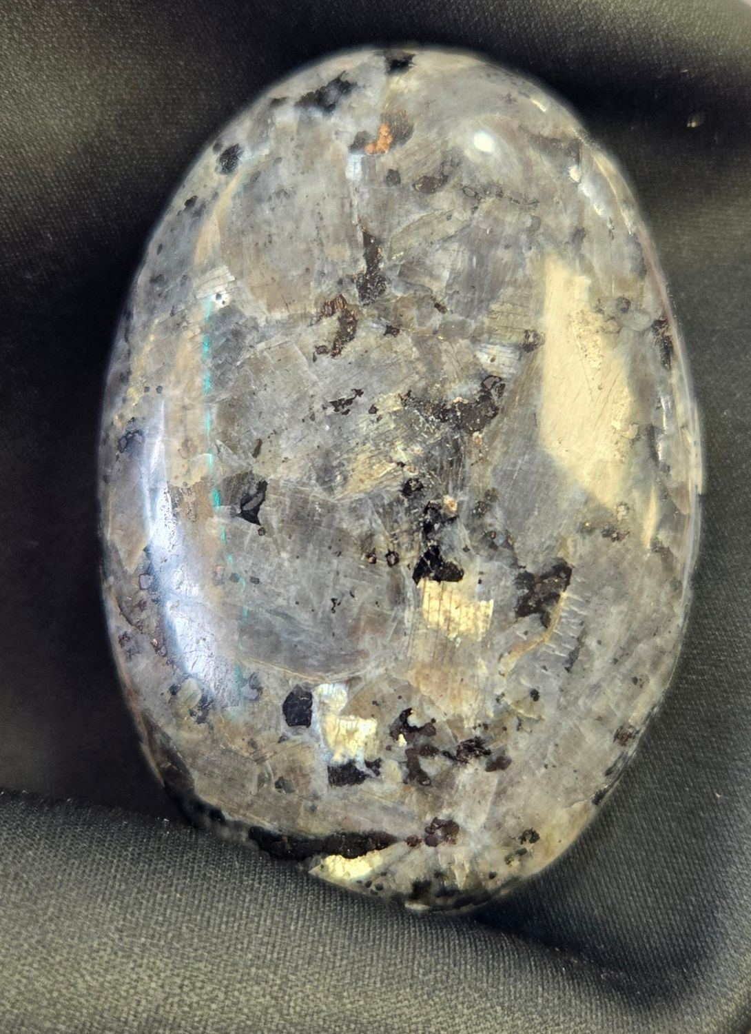 Larvikite Palm