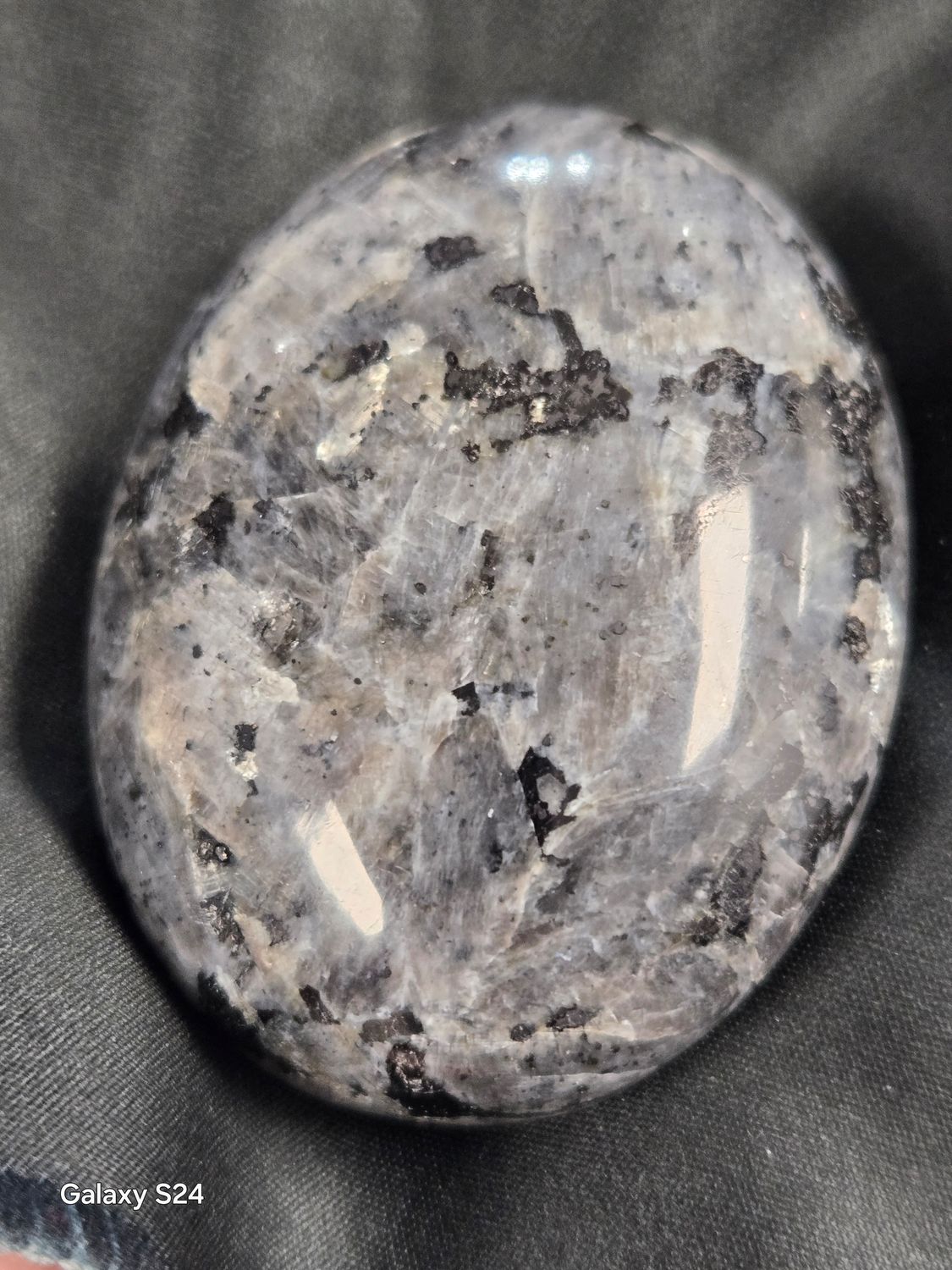 Larvikite Palm