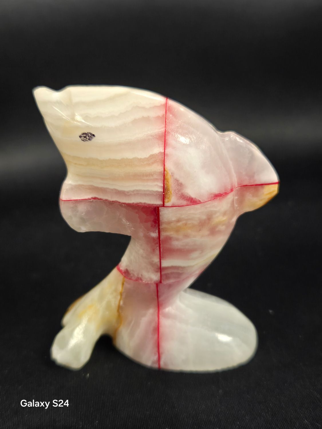 Onyx Dolphin I