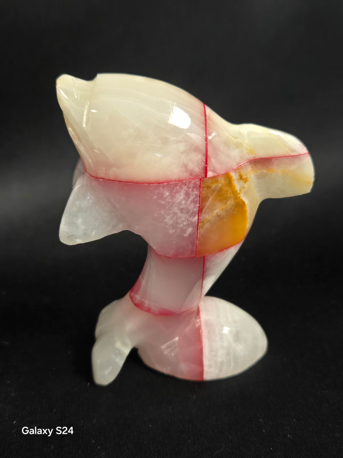 Onyx Dolphin II