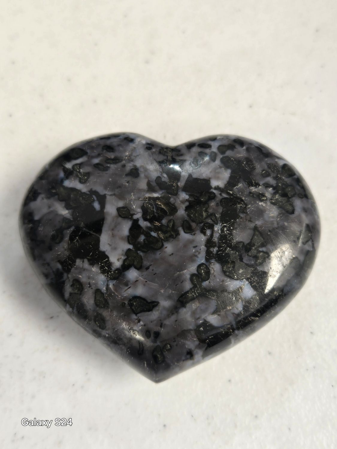 Indigo Gabbro H