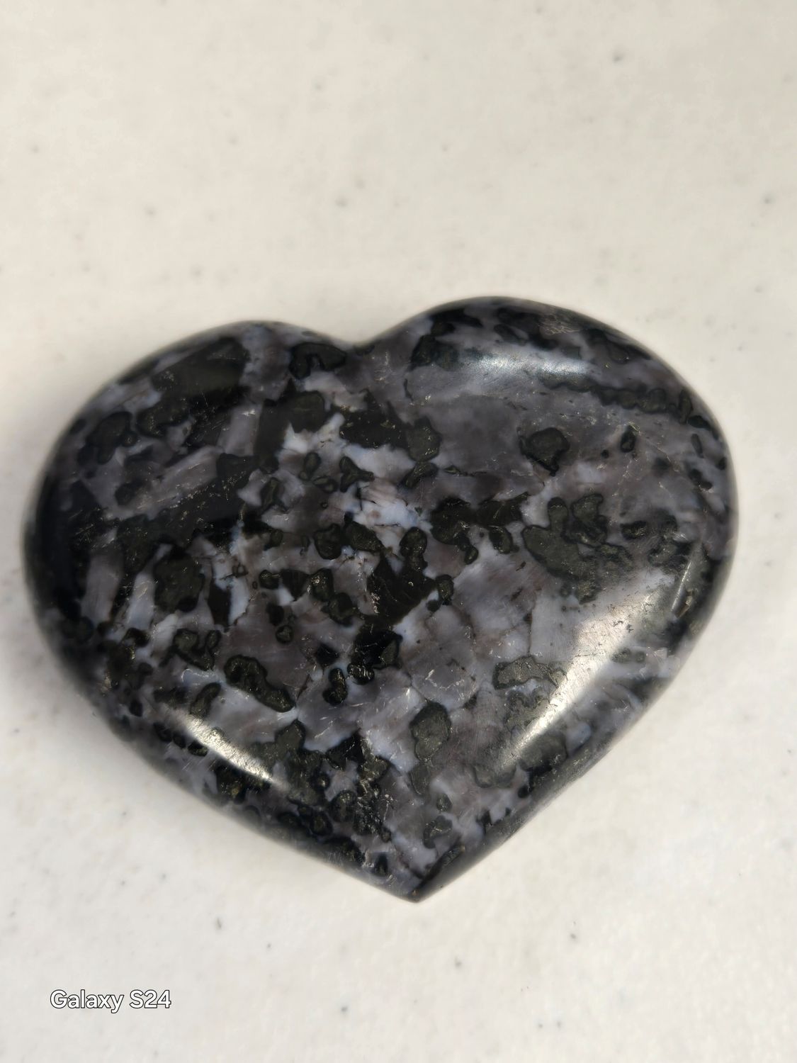 Indigo Gabbro H