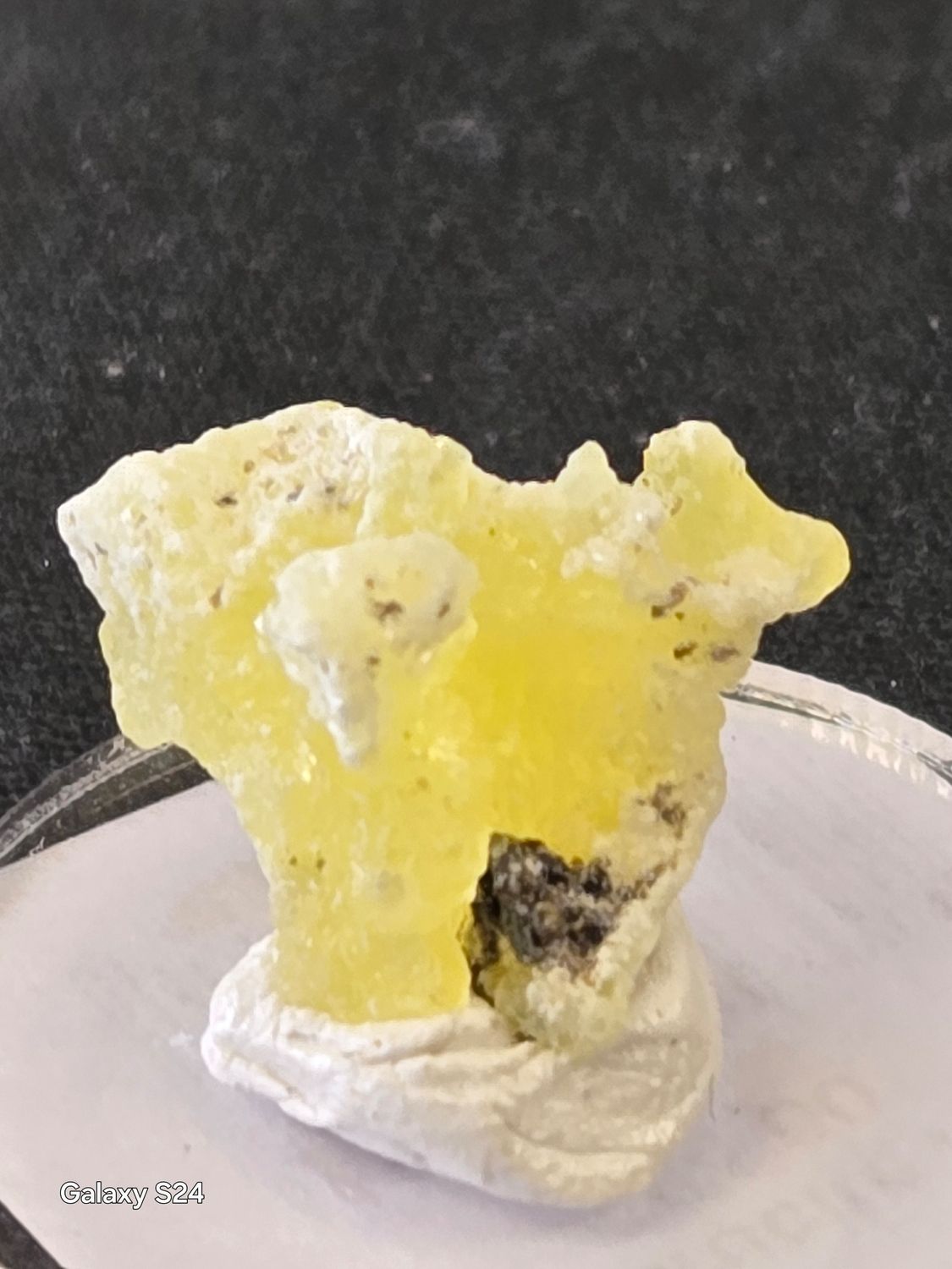 Brucite AI