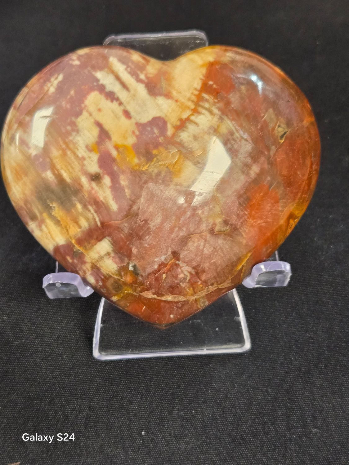 Petrified Wood Heart I