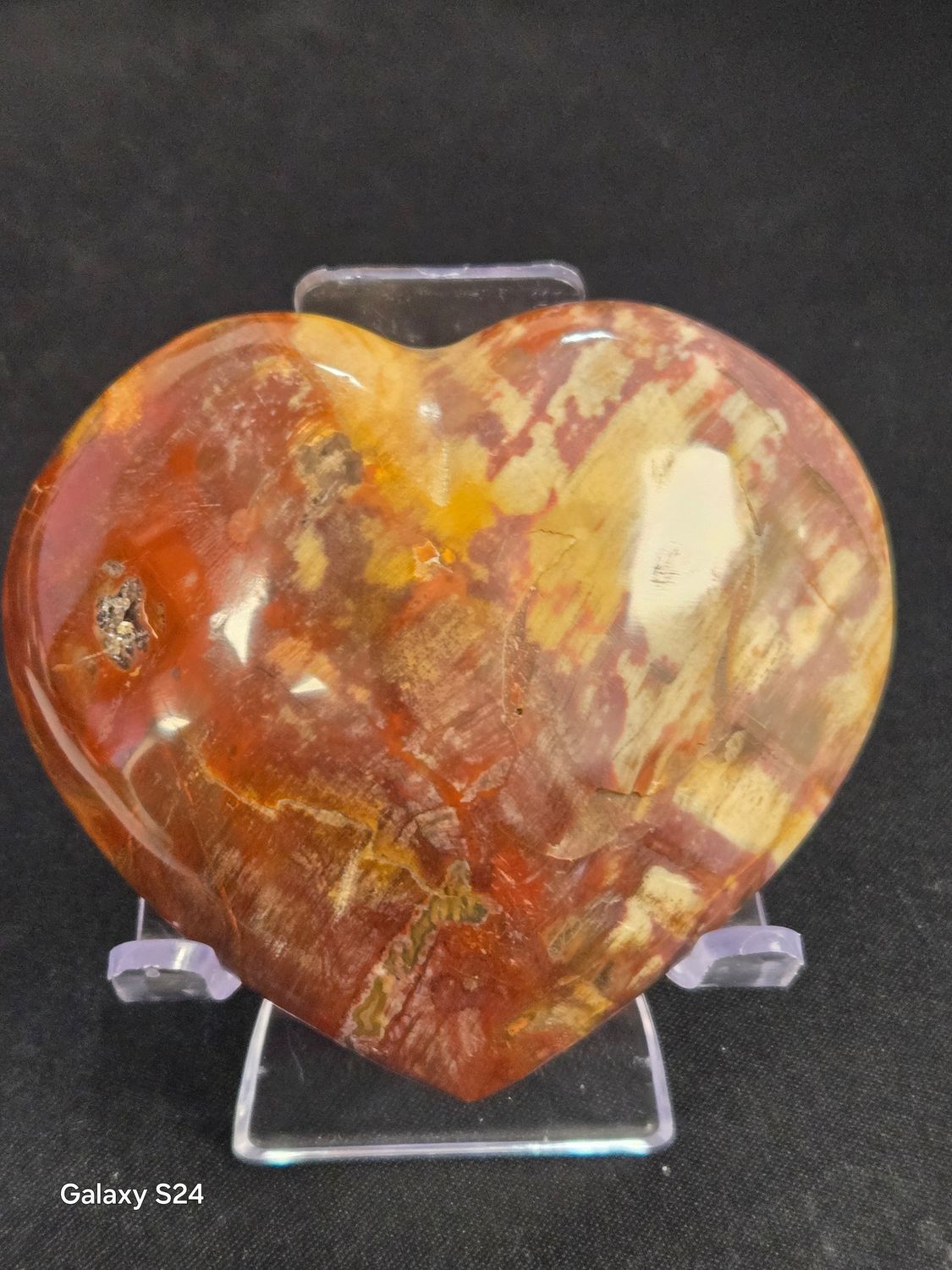 Petrified Wood Heart I