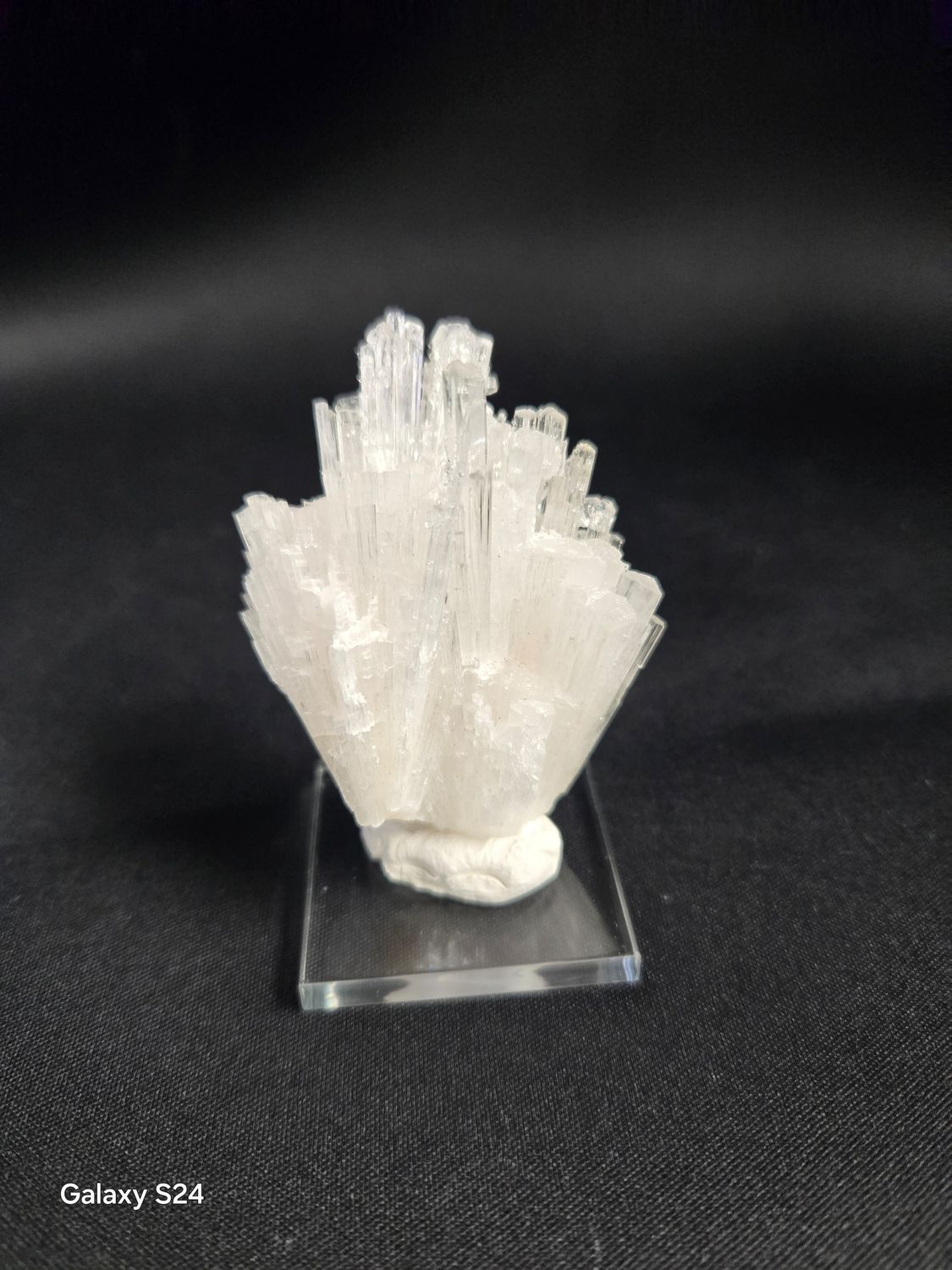Scolecite IV