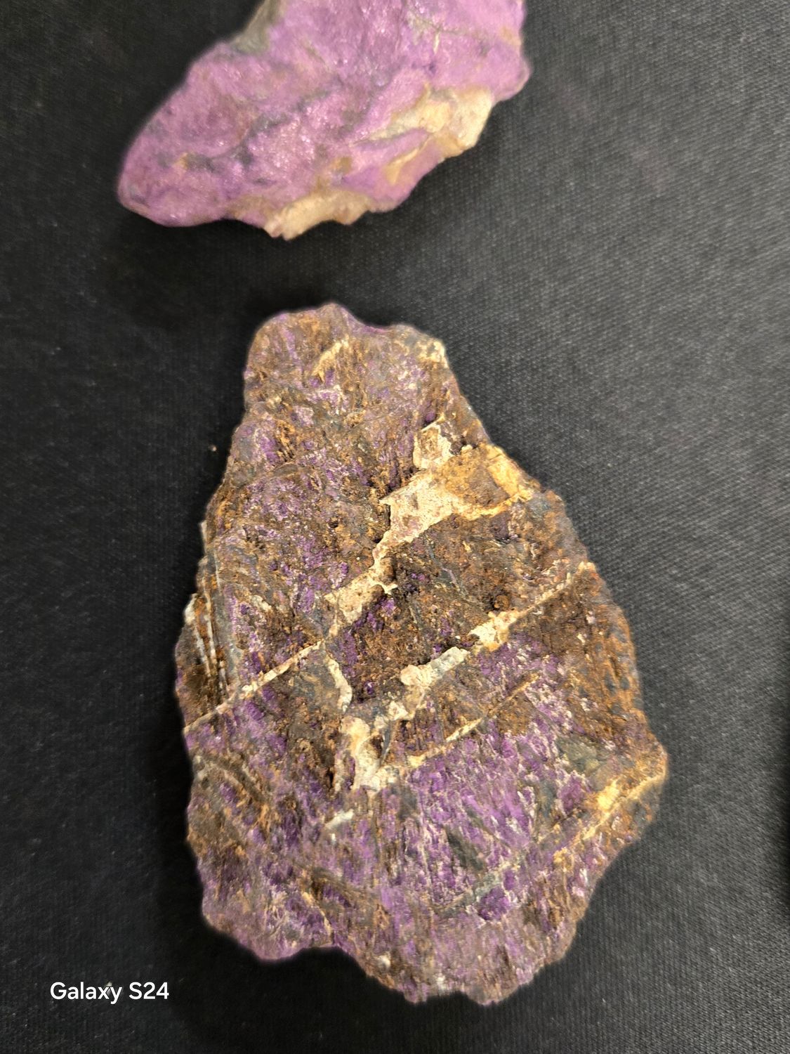 Purpurite F