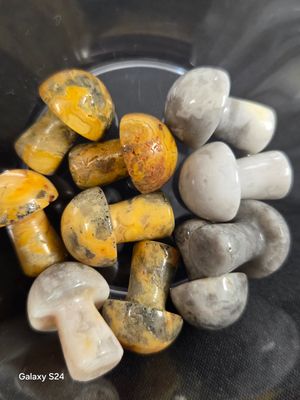 Crazy Lace Agate -Mushrooms