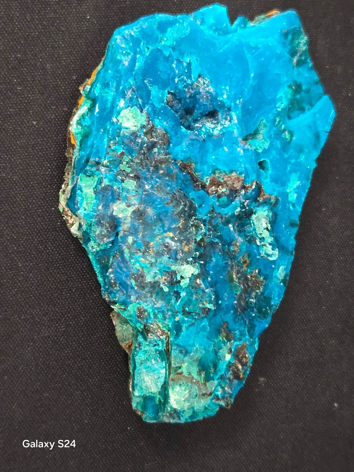 Chrysocolla Cunyari