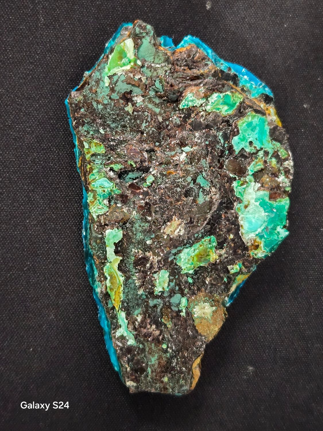 Chrysocolla Cunyari