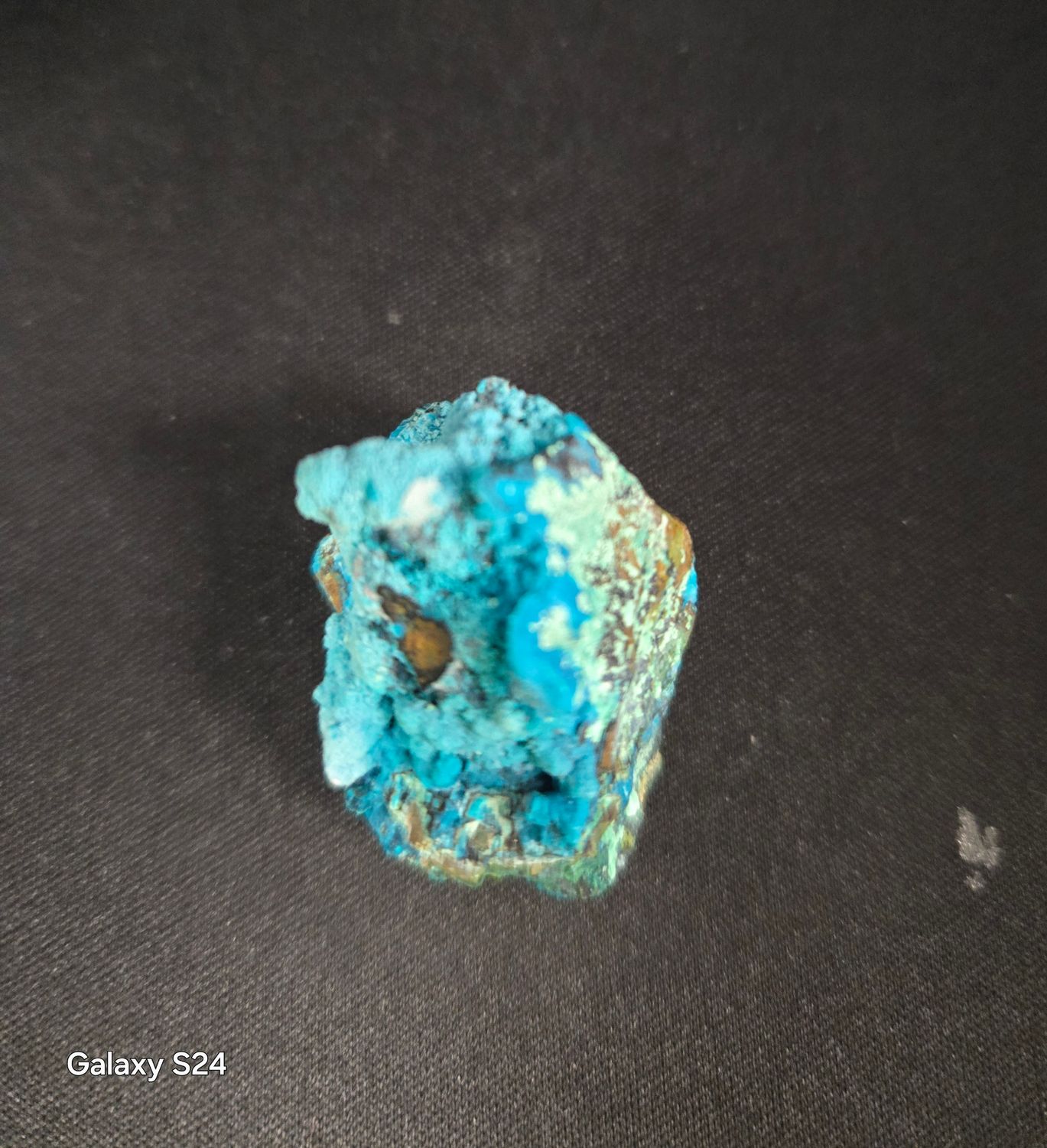 Chrysocolla Tentadora 