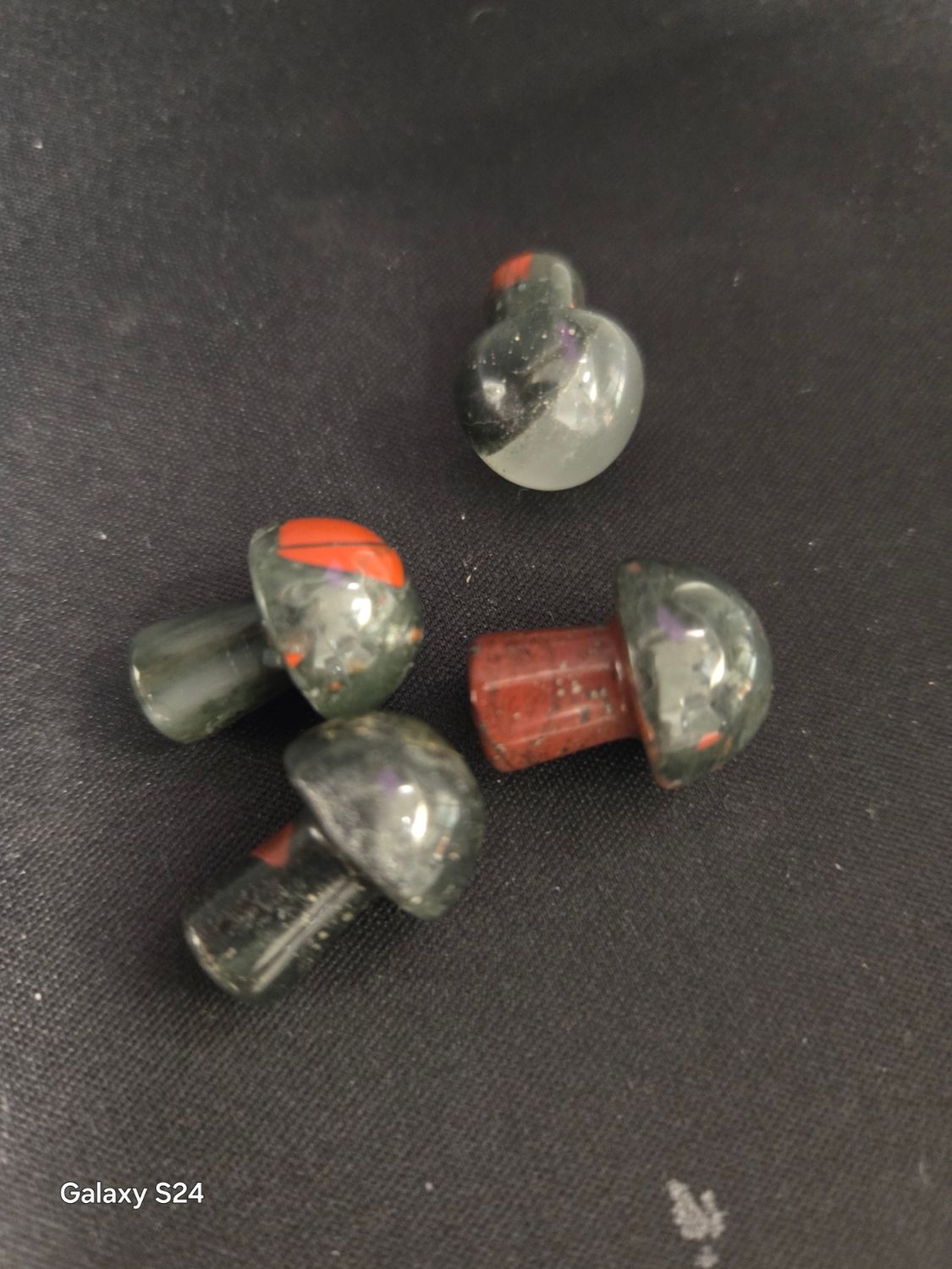 Africa Blood Stone Mushrooms Mini