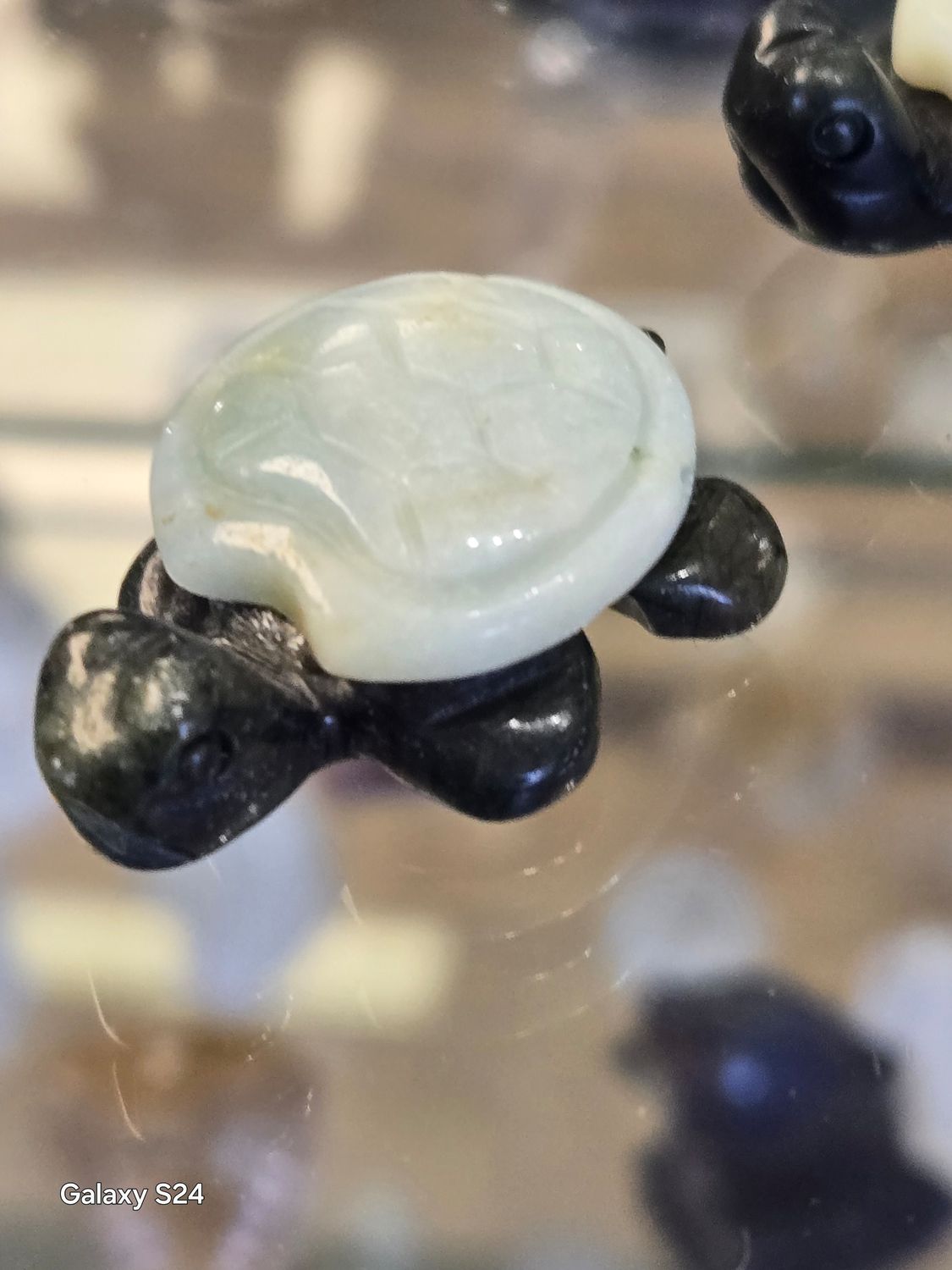 Caribbean Calcite Turtles 