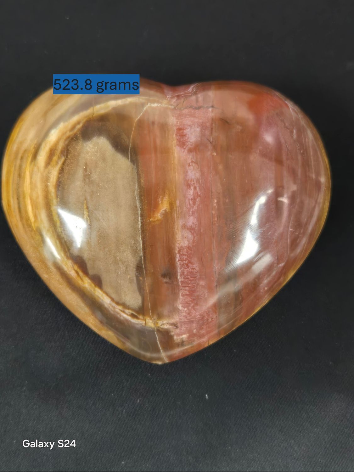 523.8 grams $89.00