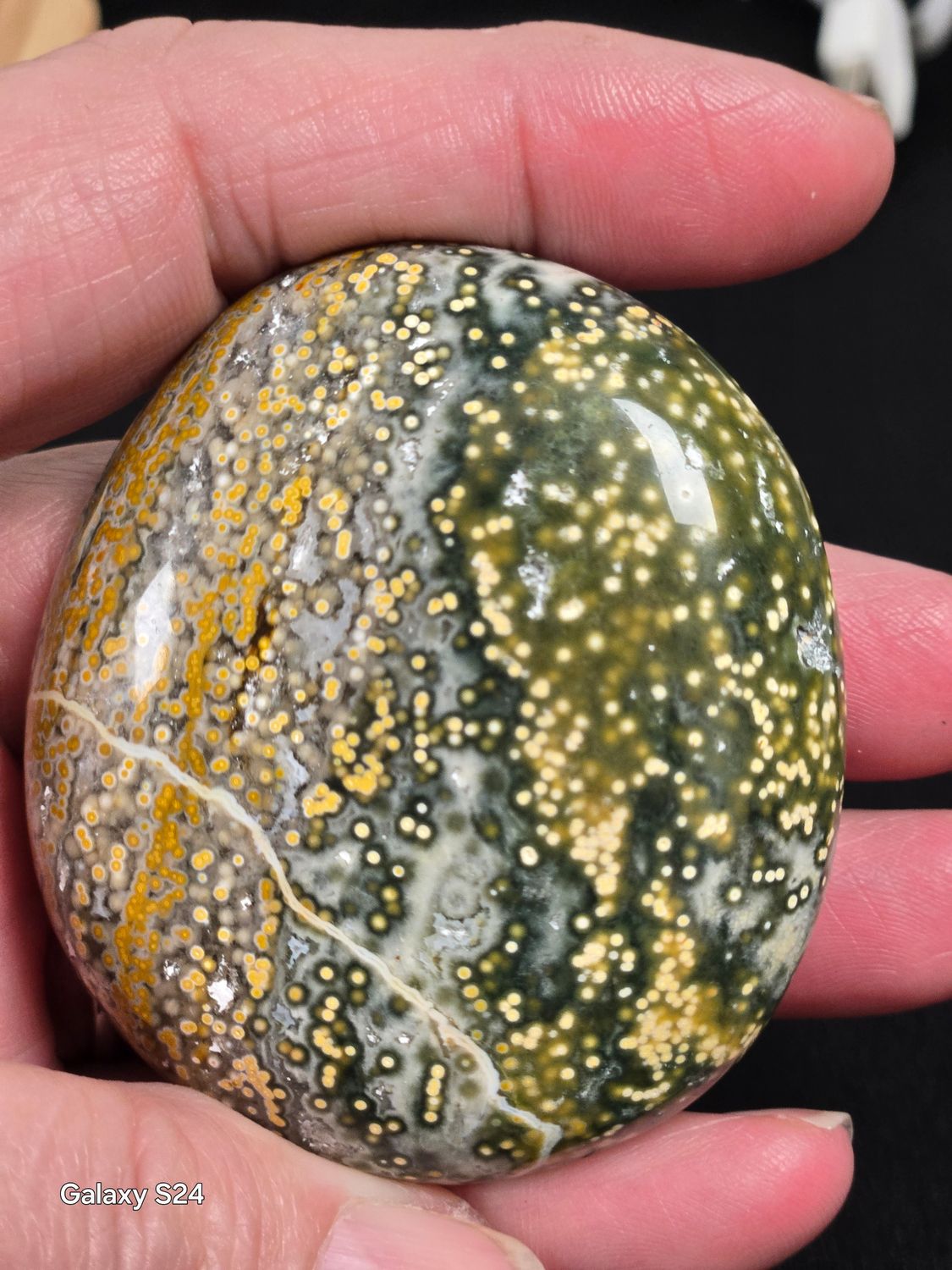 Ocean Jasper P