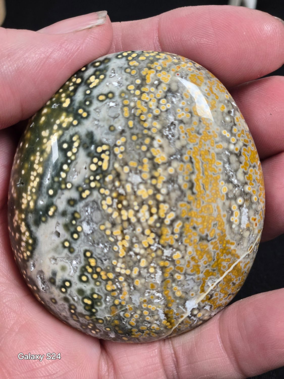 Ocean Jasper P