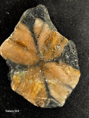 Chiastolite 
