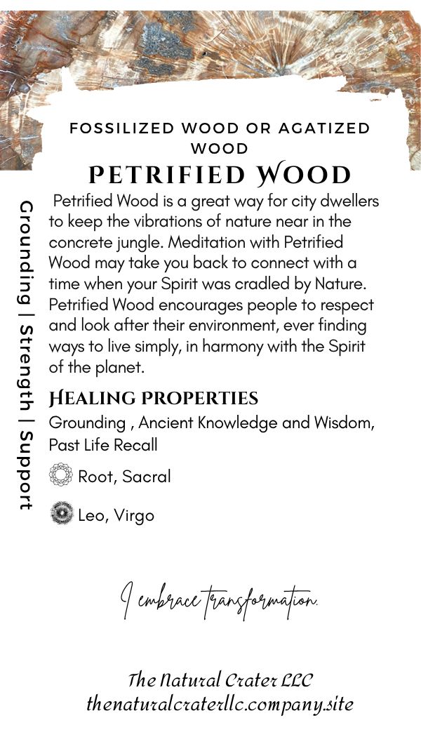 Petrified Wood