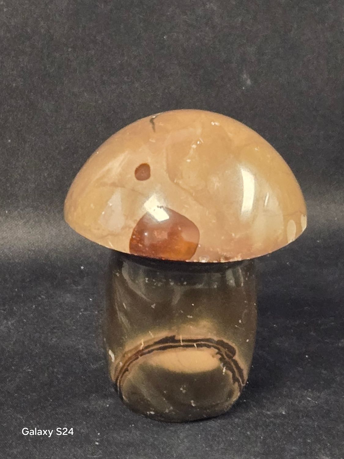 Poly Chrome  Mushroom II