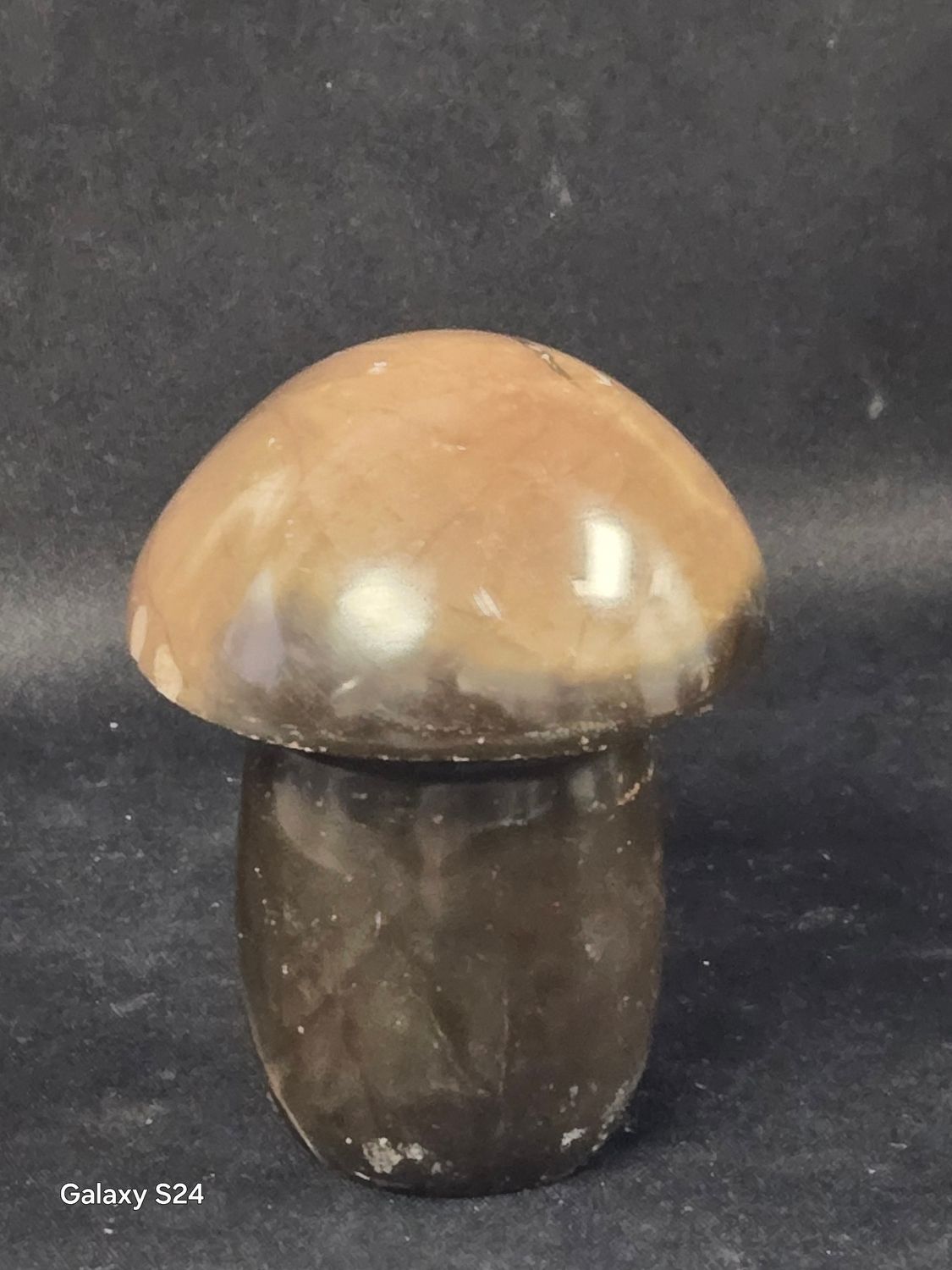 Poly Chrome  Mushroom II