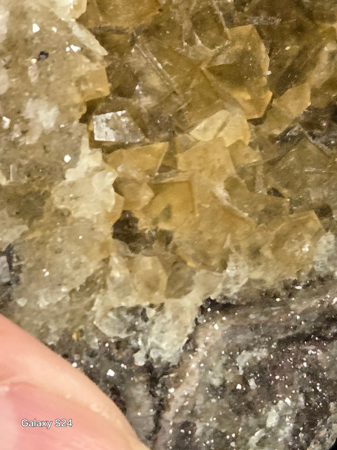Moscona Fluorite II