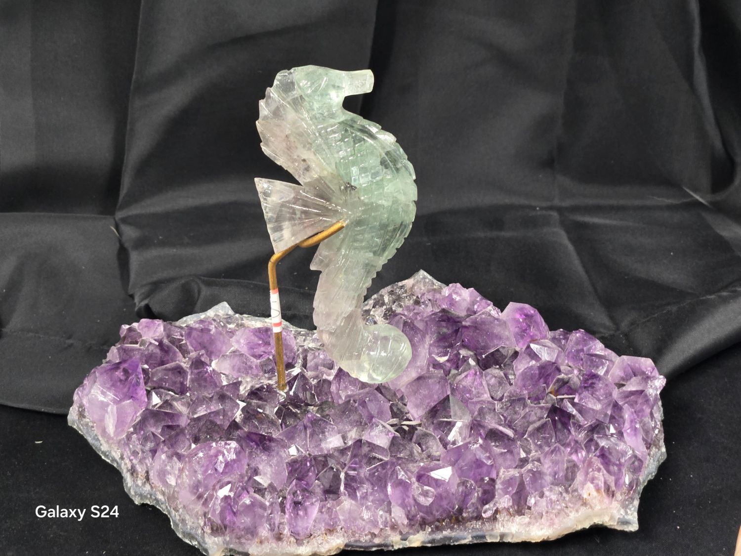 Seahorse on Amethyst  II