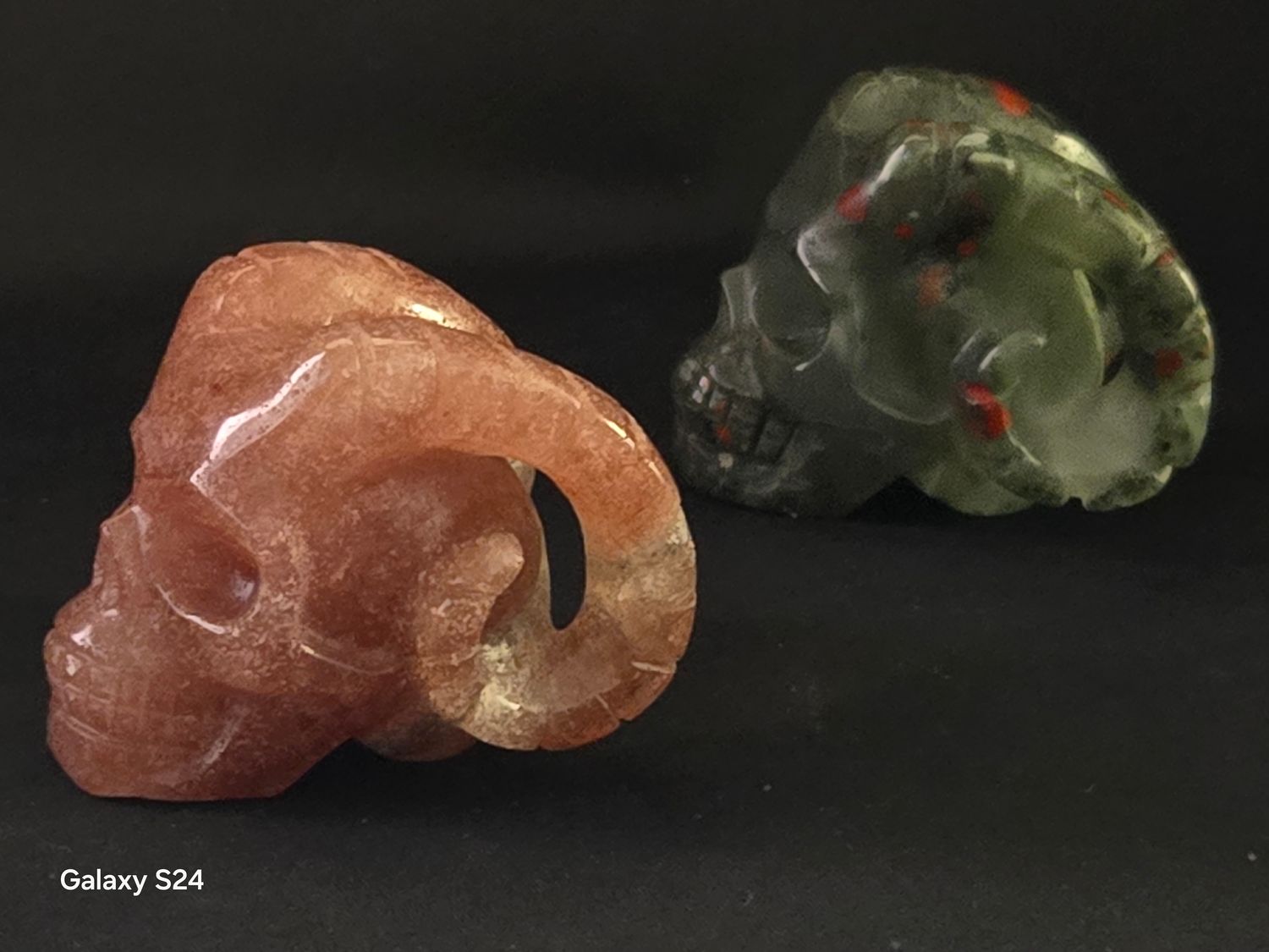 Rams Horn Skulls