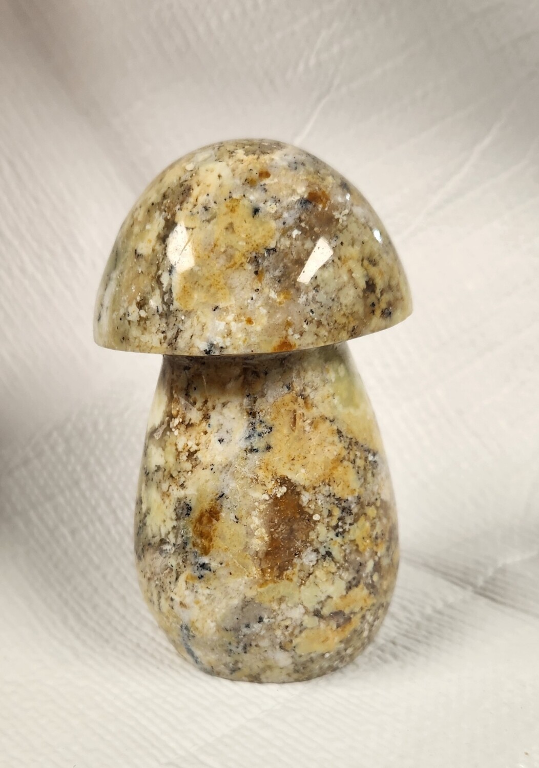 Dendritic Opal Mushrooms I