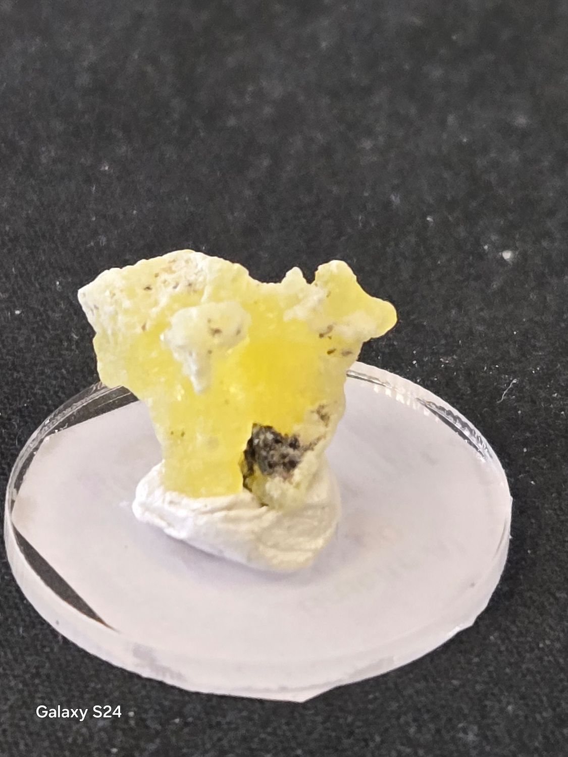 Brucite AI