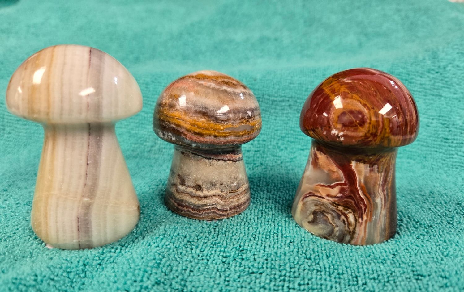 Onyx Mushrooms III
