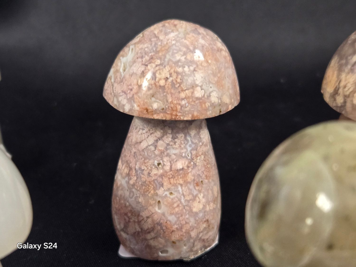 Mushrooms M I