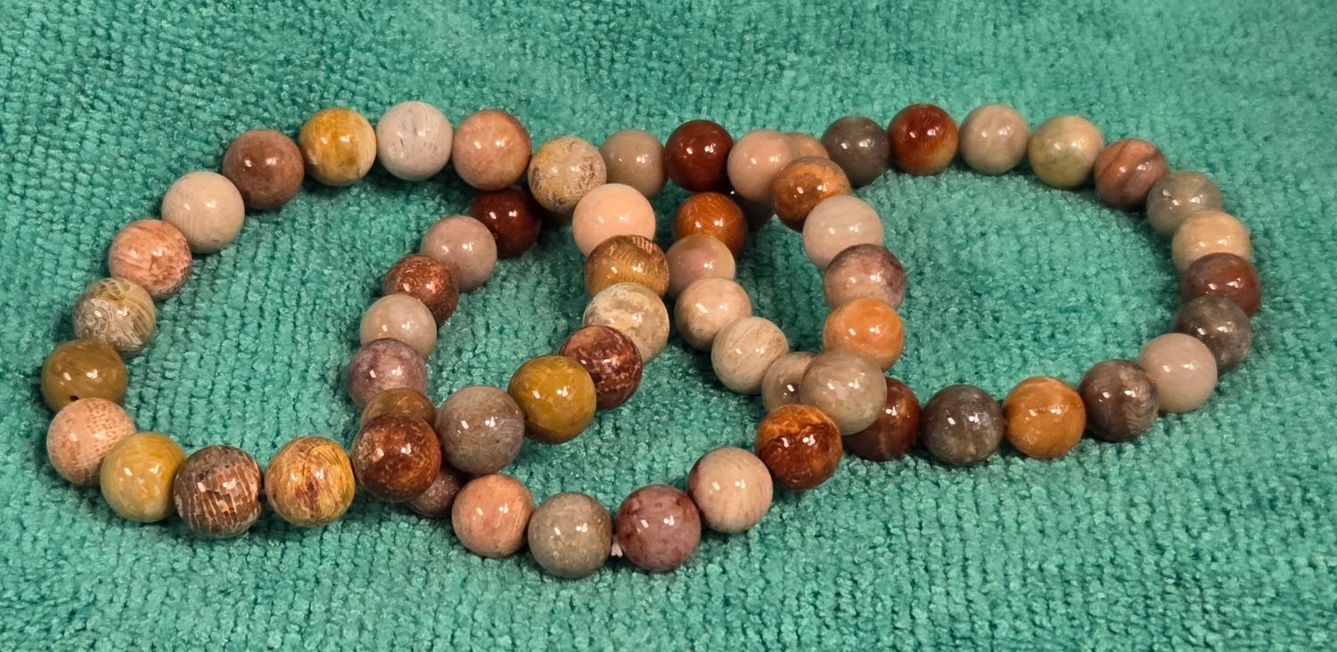 Fossil Coral Bracelet