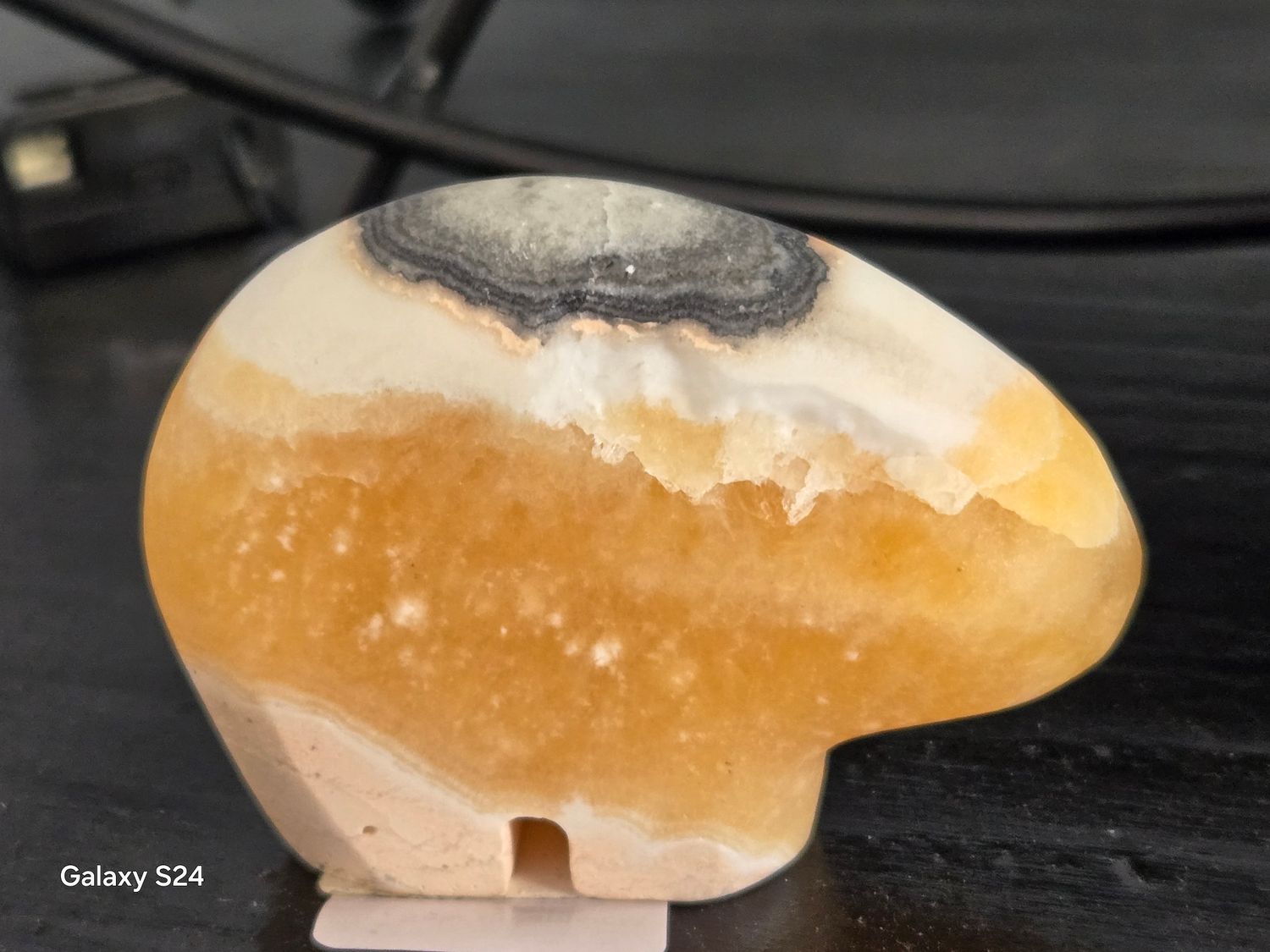 Bear Creamsicle Zuni