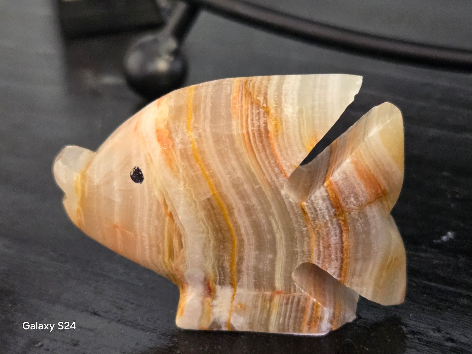 Onyx Fish