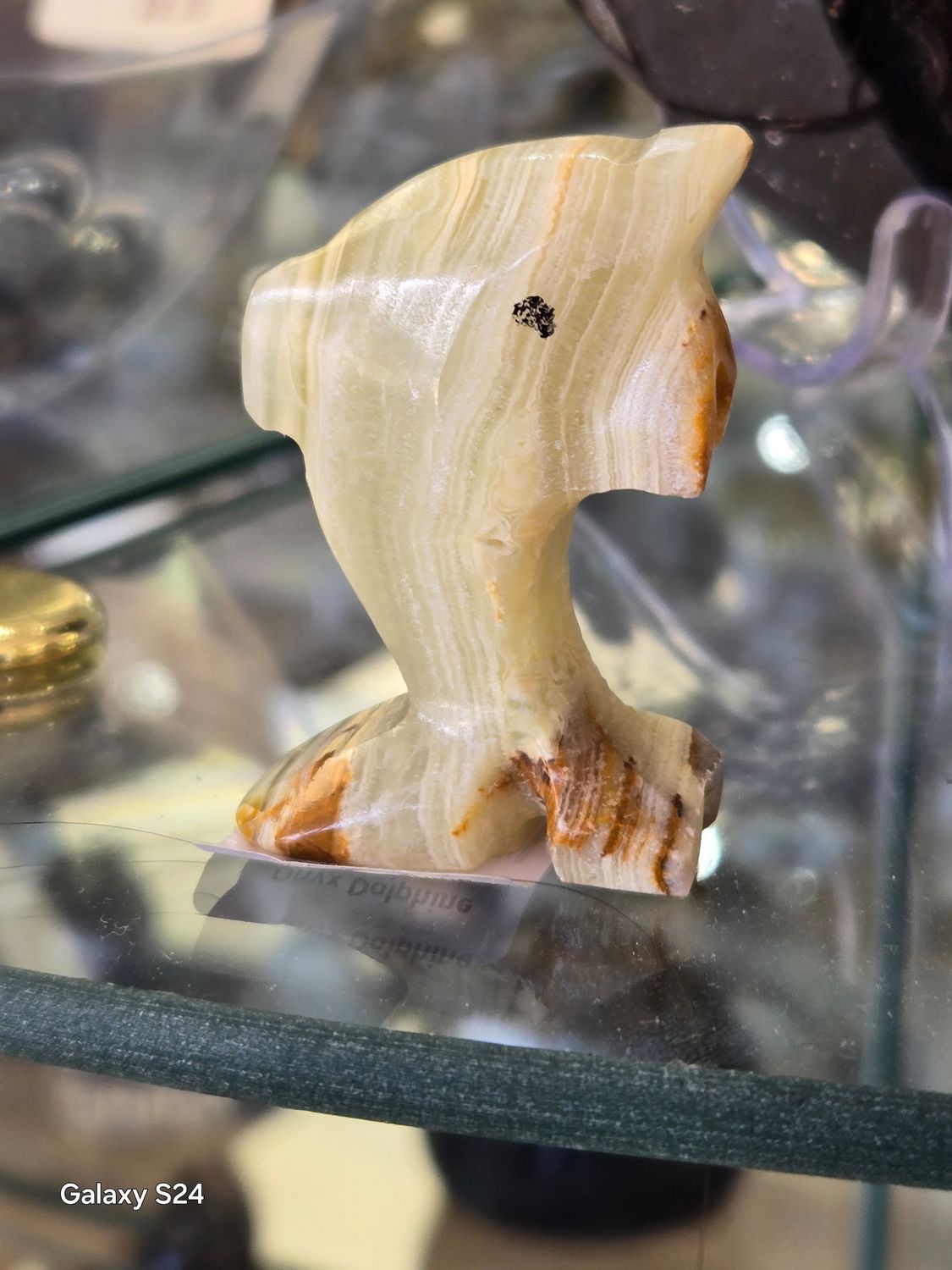 Onyx Dolphin