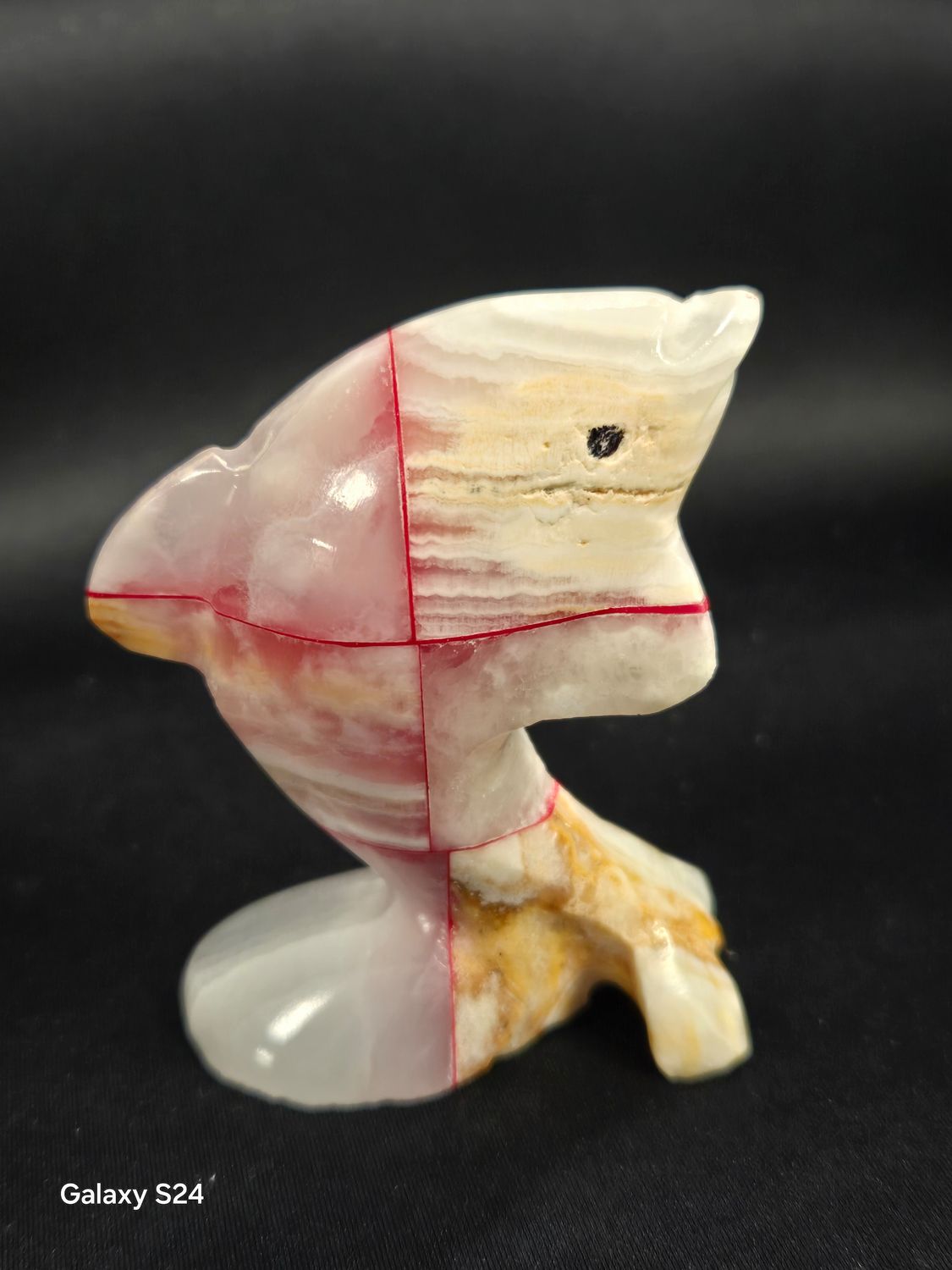 Onyx Dolphin I