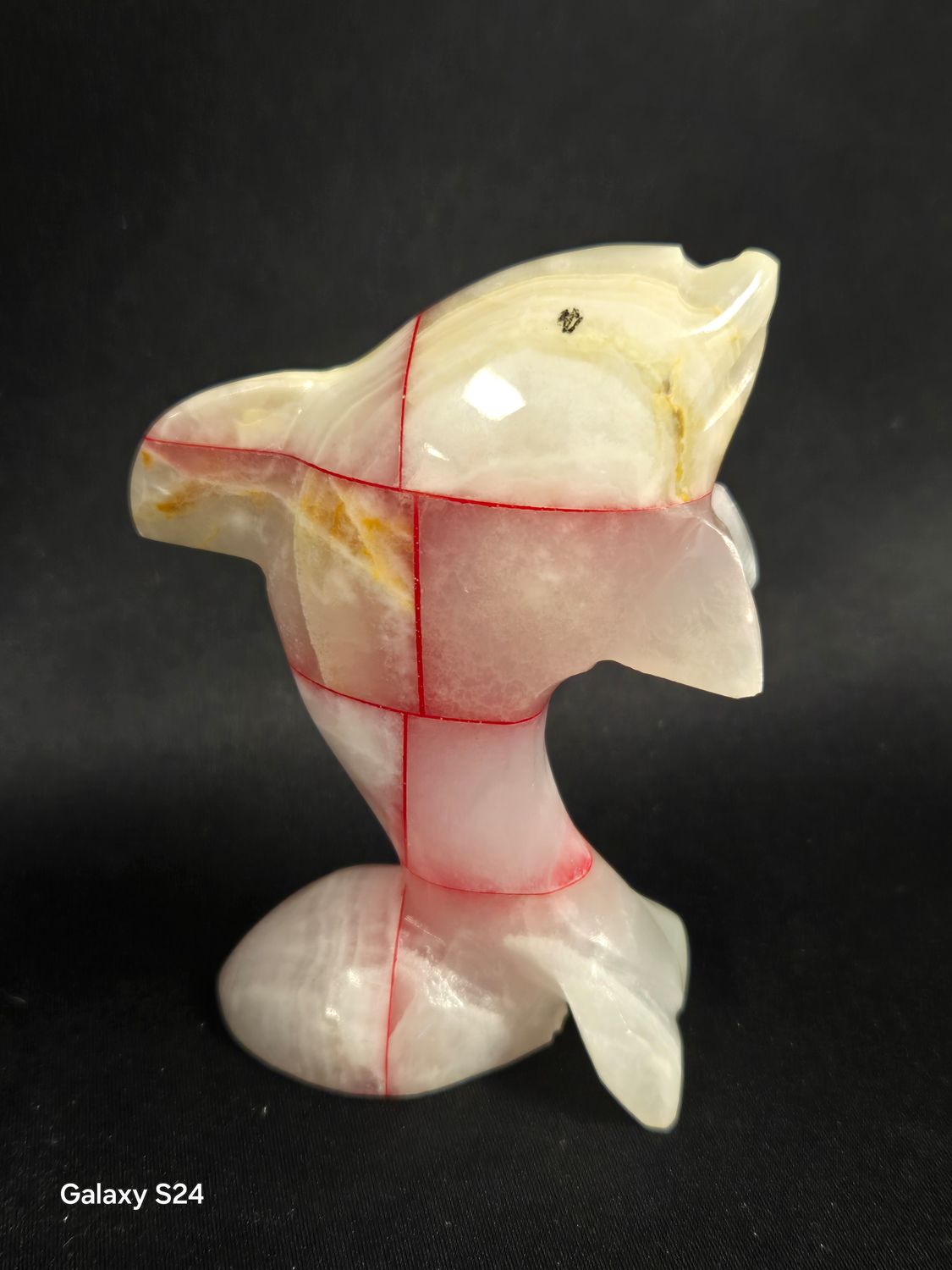 Onyx Dolphin II
