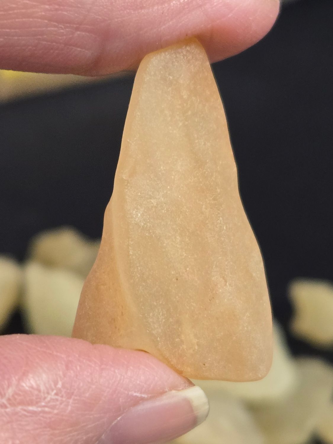 Libyan Desert Glass