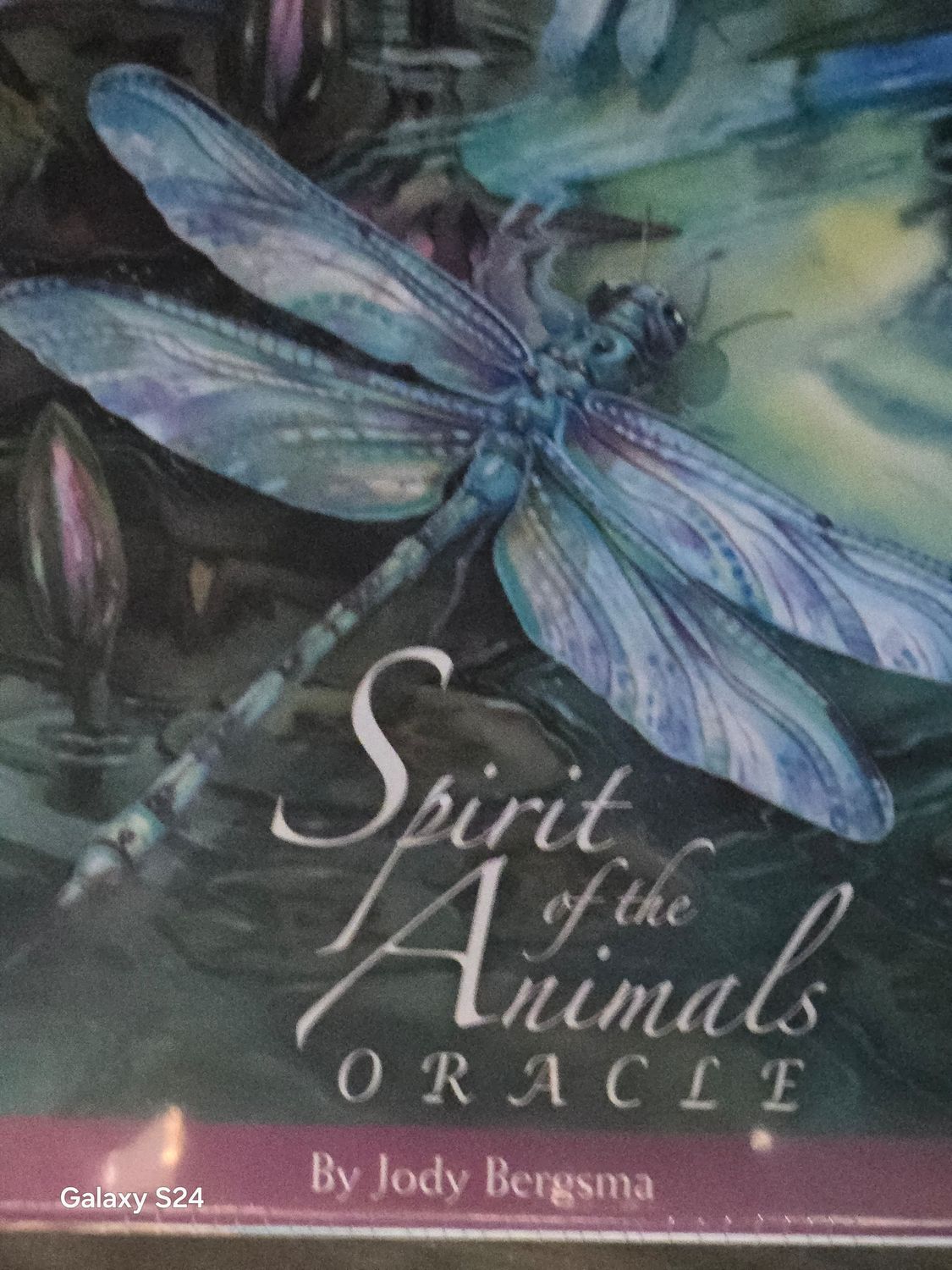 Spirit Of The Animals