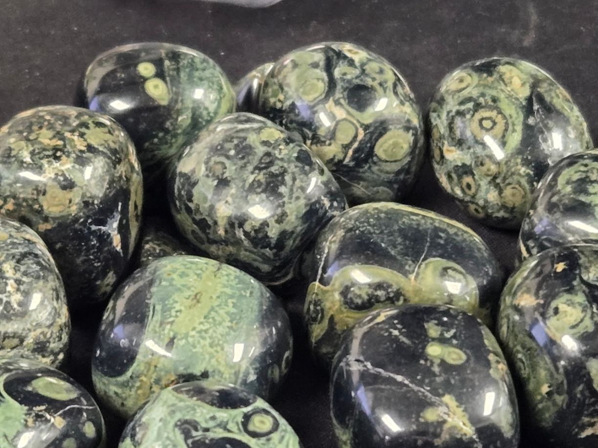 Kambaba Jasper Tumbles OL