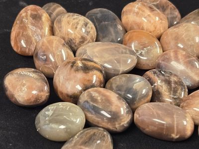 Black Moonstone Tumbles OL