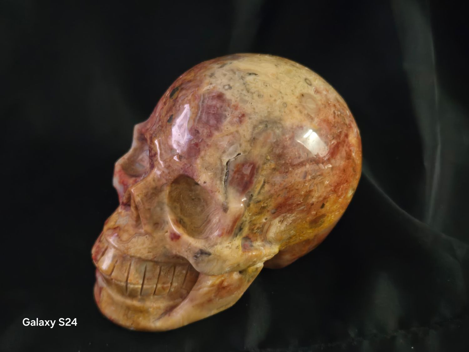 Crazy Lace Skull