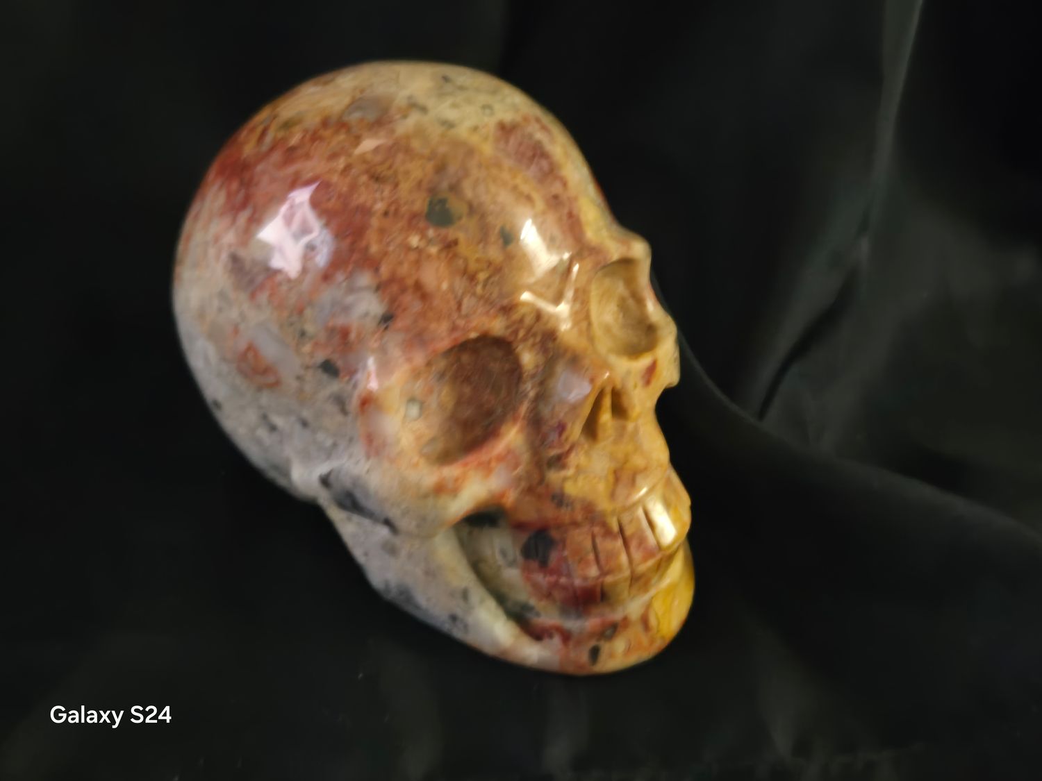 Crazy Lace Skull