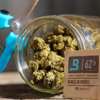 Paquete de Humedad Boveda tamaño 4 62%