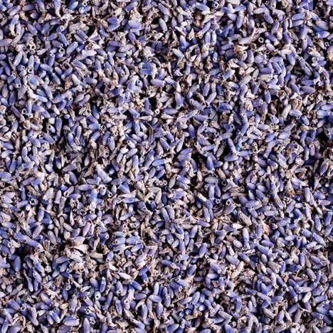 Meadowood Farms Lavender Buds, 1g