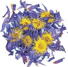 Bee Well CBD Organic Botanicals Egyptian Blue Lotus - Whole Flowers .5oz